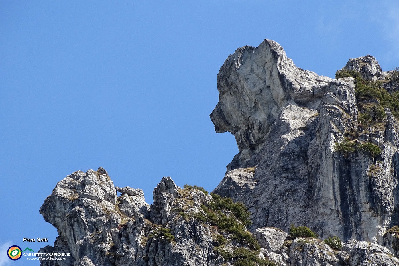 97 Sopra la Casina Bianca...l'orso!.JPG -                                